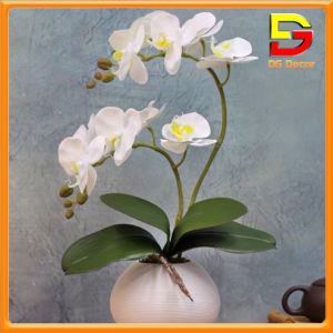 Chậu Hoa Lan Hồ Điệp Hoa Giả Cao 40cm Để Bàn Trang Trí Phòng Khách Nhà Hàng Khách Sạn Sang Trọng DC-258