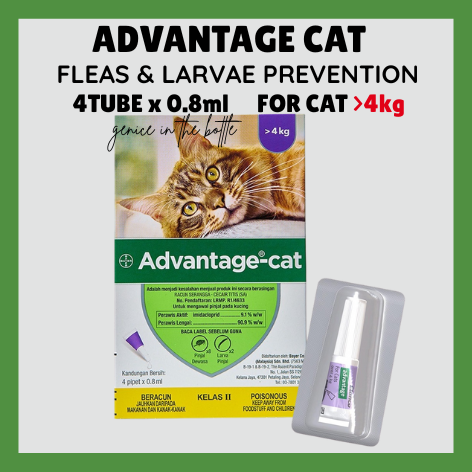 Bayer Advantage Cat 4kg 8kg X pipettes Cat Flea Lice