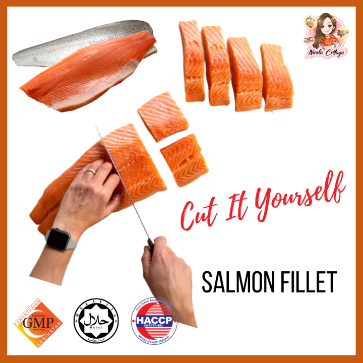 Premium Salmon Fillet/Trout Fillet/Salmon Whole Fillet/No Bone/Boneless