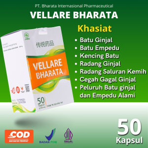 Obat Batu Ginjal Batu Empedu Kencing Batu Herbal Vellare Bharata 100% Asli