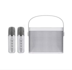 Wireless Bluetooth Dual Microphone /Karaoke Speaker 3D Stereo Amplifier / Outdoor KTV Stereo Mic Big Sound Speaker