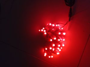 Led đúc F5 12V kín nước dùng trang trí quấn cây ngoài trời