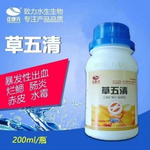 💗🙋‍♀️💗草五清水产养殖草鱼鲫鱼鱼强效消毒出血烂鳃赤皮肠炎打印病