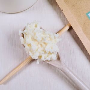 Live Milk Kefir Grains - Make Your Own fermented Milk Kefir at home with live cultures