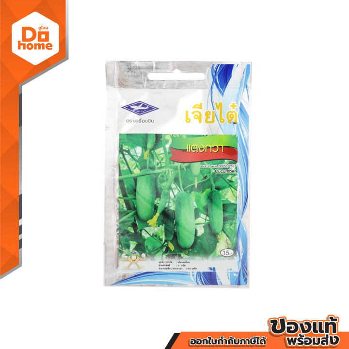 6 อันดับเมล็ดพันธุ์แตงกวา ยี่ห้อไหนดี? ปลูกง่าย ผลดก อัปเดตปี 2026