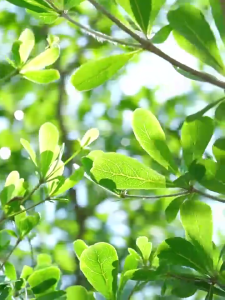 Thiết bị đựng nước uống chai nước Dispenser xách tay điện bình nước gập được chai nước bơm nước jugs Dispenser sạc USB