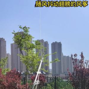 新款动态鱼竿儿童手持风筝卡通小鸟燕子老鹰鹦鹉大雁天使翅膀抖动Rod Memancing Dinamik Baru Kanak-kanak Memegang Kite Kartun Burung Menelan Burung Kakak Tua Burung Nuri Wild Goose Angel Wings Shake