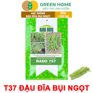 Hạt Giống Đậu Đũa Ngọt Lùn GreenHome Gói 20g~120 hạt Dễ Trồng Quanh Năm Nảy Mầm Cao T37