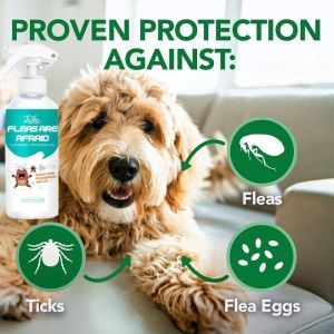 100/500ML Tick and Flea Spray Remover for Pet Flea Killer Anti Fleas for Cat and Dog Lice and Mite Remover Anti Garapata Killer Spray for Dog and Cat