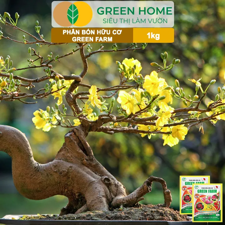 Ph%C3%A2n%20B%C3%B3n%20H%E1%BB%AFu%20C%C6%A1%20Green%20Farm,%20GreenHome,%20G%C3%B3i%201kg,%20Chuy%C3%AAn%20D%C3%B9ng%20Cho%20C%C3%A2y%20C%E1%BA%A3nh,%20Hoa%20H%E1%BB%93ng%20-%20Image%207