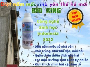 CHỐNG NẤM MỐC GỖ NHÀ YẾN THẾ HỆ MỚI - DUNG DỊCH BIO KING -  DÙNG CHO NHÀ NUÔI CHIM YẾN