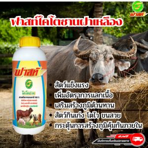 บำรุงโครงสร้างของสัตว์ เสริมสร้างภูมิคุ้มกันให้สัตว์ สัตว์แข็งแรง เพิ่มอัตราการแลกเนื้อ ไคโตซานฟาสท์ฝาเหลือง1ขวด ไคโตซานสัตว์ วิตามินสำหรับสัตว์