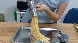 Máy ép tạo sợi cám cho chim gà khuyên 2ly-3ly