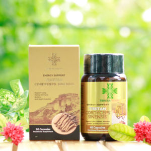 (Hàng Mỹ) Viên uống hỗ trợ tăng đề kháng và hệ miễn dịch chiết xuất Đông Trùng Hạ Thảo Tây Tạng Teresa Herbs - Lọ 60 viên
