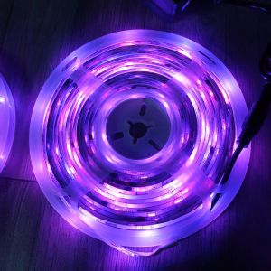 Dây Đèn Chạy Đuổi 12V / 24V Siêu Sáng (Hàng Mới)