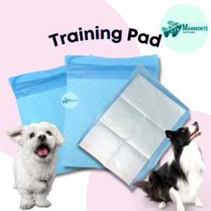 Pet Dog Training Pad Pee PER PIECE Pads Potty