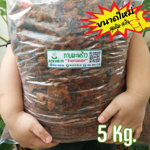 กาบมะพร้าวสับ+ล้างสาร Coco Husk Chips size-s 🏝 Flush Tannin+ไตรโคเดอร์มา ใช้ได้ทันทีไม่ต้องแช่เพิ่ม (5Kg.)(1Kg.)