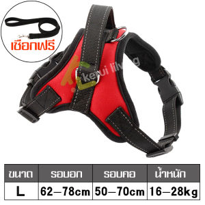 สายจูงสุนัข สายจูงแมว สายจูงสุนัขโต สายจูง ที่รัดอก+สายลากจูงสุนัข สายรัดอกสุนัข ที่รัดอกสุนัข สายจูงแบบเต็มตัว เชือกจูงสุนัข