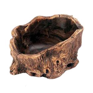 Vườn diện mạo cổ điển Chậu hoa giả trồng tăng cường vẻ đẹp cho các loài xương rồng tăng cường thẩm mỹ tự nhiên