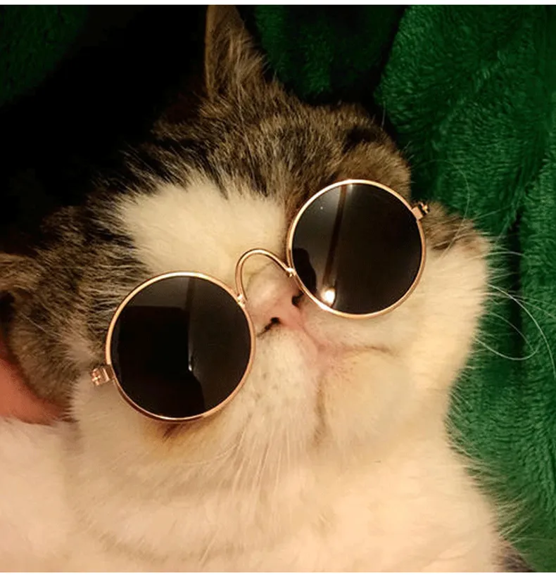 Pet glasses dog cat shades cool eyewear sunglasses pet decorative - Main Image