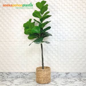 Pohon Imitasi Tanaman Hias Ketapang X3 T140 Latex Artificial Pot Dasar Cover Eceng Gondok Hiasan Studio Aesthetic