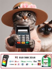 All Bank Card Pay Instalments - Visa Acceptance Solutions | Payment Solution - Malaysia ALL IN ONE Payment Gateway | Online & Retail Payments - Payment Terminal - Instalment Payment Plan - MOHON Kad Mesin - 刷卡机 - 马来西亚 支付方案