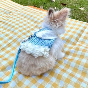 OUTOPEN Adjustable Rabbit Outdoor Harness Plaid Breathable Pet Traction Suit Fashion Comfortable Pet Traction Rope Outdoor