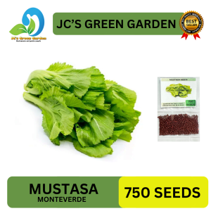 VALUE PACK (750 SEEDS) MUSTASA SEEDS/MONTEVERDE VARIETY/FOR PLANTING/HIGH YIELDING