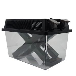 Cricket Breeding Kit