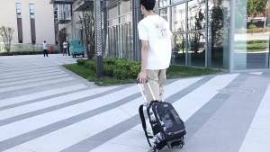 LZD  Natural Fish New Primary School Student Trolley Schoolbag Mens Large Capacity Burden Reduction Detachable Backpack