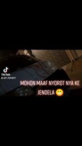 RTD ORIGINAL STROBO LED ION FENIEX