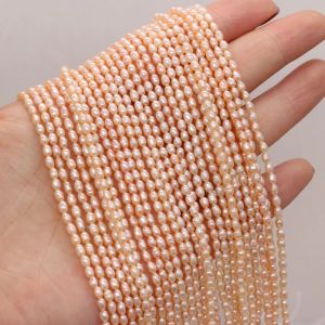 AAA High Quality White Pearl Beads Rice Shape Natural Freshwater Pearls Bead for Jewelry Making DIY Necklace Bracelet Earrings