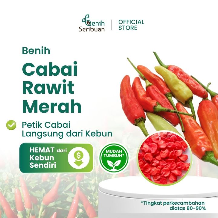 Benih Cabai Merah