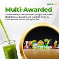 SBG Salveo Barley Grass Powder Original in Jar 280 grams - Boost your Health and Immunity Effectively FDA Approved. 