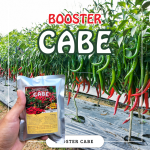 Pupuk Booster Tanaman Cabe / Pupuk Booster Hayati Khusus Tanaman Cabe