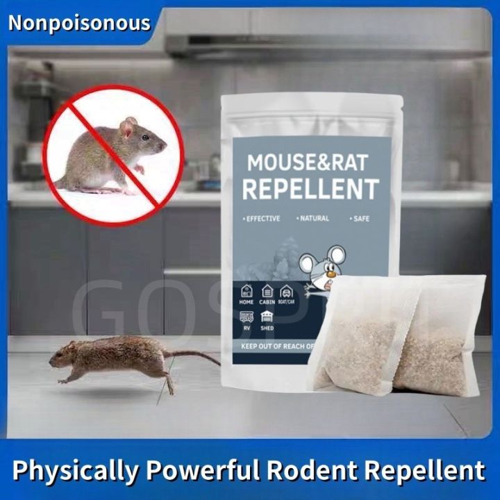 Physical Rodent Control Measures Are Used To Drive Away Rats And
