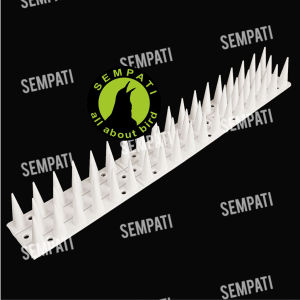 SEMPATI Paku Duri Plastik Ukuran 335 Cm Paku Duri Plastik Anti Burung Merpati Gagak Kucing Anjing Musang Ular Kelelawar Paku Duri Pengusir Hewan Liar Bird Spikes