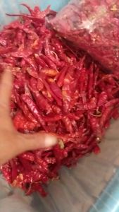 Cabe Rawit Merah Kering Teja impor super pedas 250 gram PREMIUM