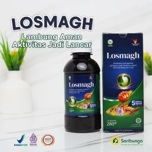 LOSMAGH - Madu Herbal 10x Lebih Efektif Atasi Asam Lambung - Madu Maag GERD - Obat Magh Lambung BPOM