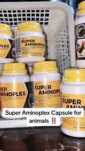 Super Aminoplex Capsules (100 Pcs) Conditioning Support for Gamefowl & Animals