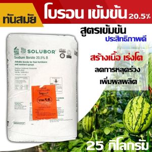 โบรอน Solubor 20.5% บรรจุ 25 กิโลกรัม การเข้มข้น ปุ๋ยแตง ปูนี ผงจุลธาตุ