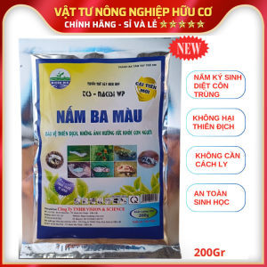 Sản Phẩm Sinh Học Phòng Và Ngăn ngừa Các Loại Công Trùng Sâu Rầy... - BIO - NẤM 3 MÀU - 200G