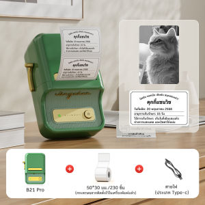 NIIMBOT B21_Pro เครื่องพิมพ์ฉลากบลูทูธพร้อมภาพ HD เครื่องพิมพ์ฉลากสำหรับใช้ที่บ้านและสำนักงาน 300DPI