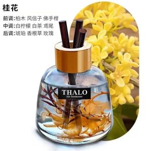 New Car perfume Interior Aromatherapy Decorative Ornaments Durable Fragrance Air Refresher Odor Eliminating Car Supplies