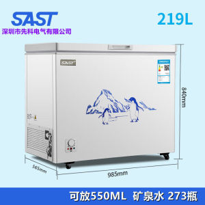 SAST Household Big Freezer Freeze Storage Freezer Horizontal Mini Mini Refrigerator Large Capacity Refrigerator Car Refrigerator