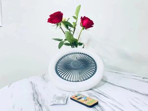 Angelila 30W Ceiling Fan With E27 Bulb 5 Blades Modern Ceiling Fan Lights 3 Speed Adjustable Time Setting Bedroom Living Remote Control Round Fan Lamps