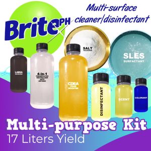 Multi-purpose Cleaner DIY Kit/Multi-surface Cleaner and ant