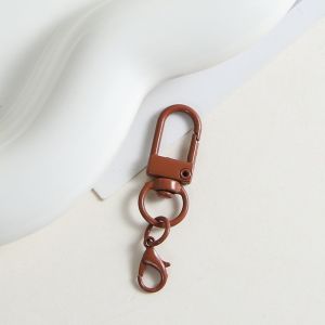 10pcs Color Paint Key Chain Door Buckle Shrimp Buckle Set DIY Keychain Backpack Clasp Jewelry Accessories