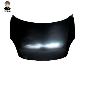 ฝากระโปรงหน้า SUZUKI SWIFT 2008 - 2010