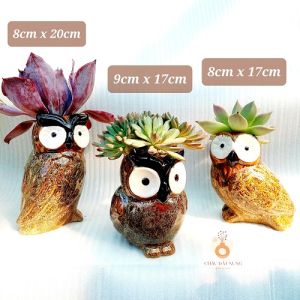 Chậu men - Cú mèo biết tuốt 3 phiên bản tương ứng 3 điều đặc biệt